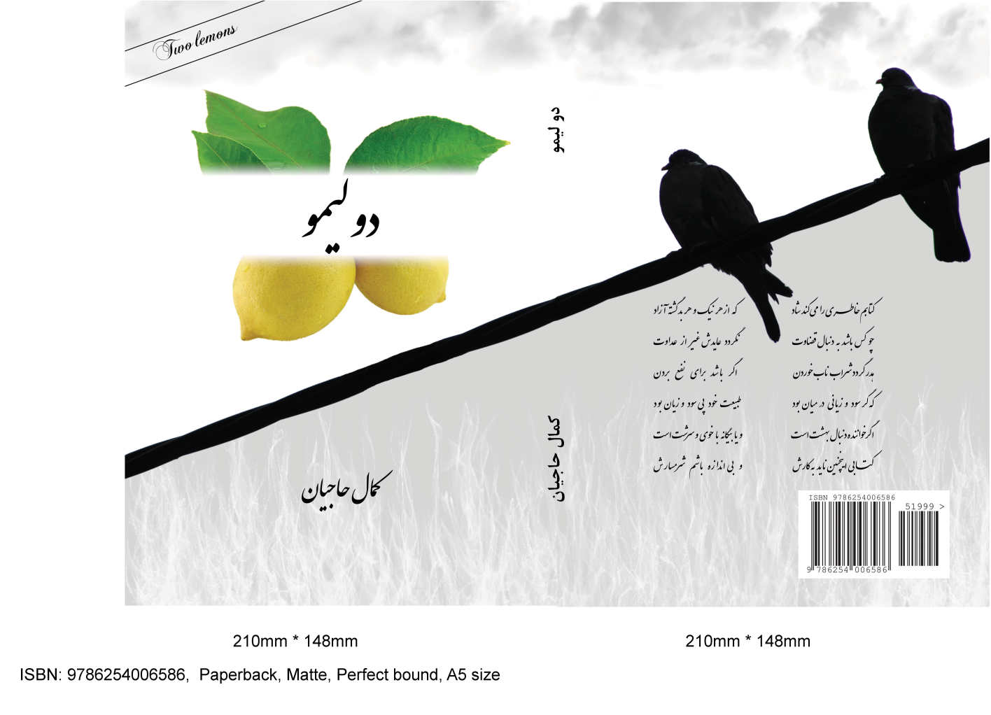 طرح جلد کتاب دو لیمو